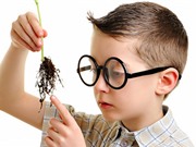 Cưới vợ thông minh có sinh ra con thông minh?