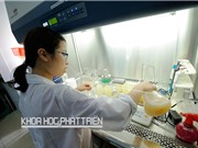 Cơ chế vẫn còn  nhiều điểm cần “gỡ”
