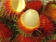 Công dụng chữa bệnh tuyệt vời của chôm chôm