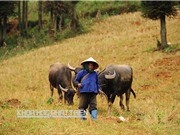 Tìm cách thoát nghèo cho Tây Bắc bằng khoa học