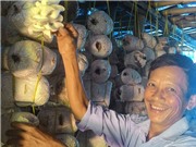 Sắp thử nghiệm chỉnh sửa gene trên người; Sáng kiến khử trùng bịch phôi trong trồng nấm