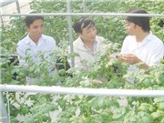 Nhà giáo nhân dân Nguyễn Quang Thạch: Người lo tìm việc cho học trò 