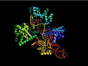 Trung Quốc sẽ là nước đầu tiên chỉnh sửa gene người
