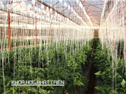 Đặt hàng nhiệm vụ KH&CN khu vực phía Nam: Cần giảm thời gian hỏi ý kiến các bộ, ngành