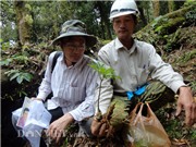 Công nghệ thông tin với biển đảo; Phát hiện cá mập 6 mang từ thời khủng long