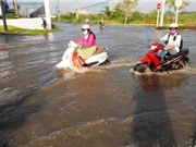 TP Hồ Chí Minh phấn đấu giảm 250.000 tấn CO2 mỗi năm