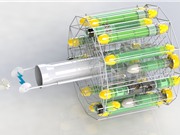 Mỹ dùng robot tiêu diệt loài cá xâm lấn
