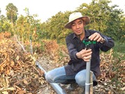 Phun thuốc, tưới cây bằng điện thoại di động; Sinh viên chế tạo khóa thông minh