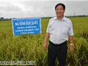 Tạo giống cây tốt bằng đột biến phóng xạ