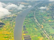 Mỹ tài trợ bốn dự án nghiên cứu khoa học của Việt Nam; Công nghệ mới giúp hai người đàn ông có con với nhau