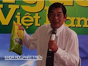 Dùng tia gamma lai tạo lúa thơm đặc biệt