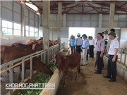 Sau cuộc làm việc của Bộ trưởng Bộ KH&CN với các tỉnh Bắc Trung Bộ: Khởi động nhiều dự án khoa học và công nghệ