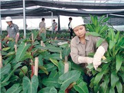 Bộ KH&CN sẽ hỗ trợ Nghệ An, Quảng trị triển khai các đề tài khoa học