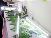 220 tỷ đồng xây dựng nhà máy sản xuất thiết bị chiếu sáng; Vải thần kỳ đeo quanh tay giúp sạc pin điện thoại