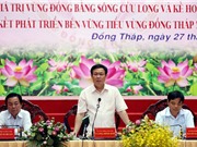 Cần xác định lại bản đồ sử dụng đất lúa tại ĐBSCL 