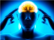 Phát hiện cách bộ não chọn giữa làm và hưởng 