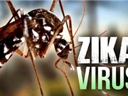 Thành phố Hồ Chí Minh công bố dịch Zika; Ra mắt chip 5G đầu tiên trên thế giới