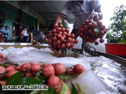 Bảo hộ đặc sản địa phương để làm giàu