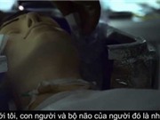 Cá trê vàng cực hiếm ở Nghệ An; Dịch vụ đông lạnh cơ thể chờ hồi sinh