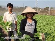 Tại Techdemo 2016: Nhiệm vụ thường xuyên theo chức năng là nhiệm vụ gì?
