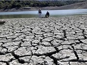 Năm 2016, cần 3.734 tỷ đồng để khôi phục sản xuất sau El Nino