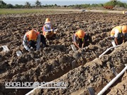 Bảo đảm an toàn các công trình xây dựng: Khâu bảo trì chưa được coi trọng