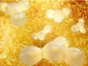 Nghiên cứu ra phương pháp điều trị béo phì mới