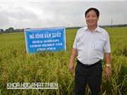 Đầu tư chọn lọc để tạo giống cây đột biến, năng suất cao