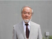 Giải Nobel Y học, Vật lý và Hoá học năm 2016 đã có chủ