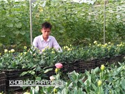 Người biết dỗ hoa ngủ, hoa cười