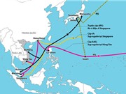 Hé lộ thời điểm sửa xong cáp quang biển