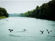 Khám phá 5 sân chim đặc sắc ở miền Tây