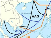 Kinh doanh online đình trệ vì đứt cáp quang