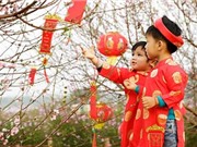 Dự báo thời tiết dịp Tết Đinh Dậu trên cả nước