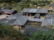 Ngôi làng không có muỗi suốt trăm năm