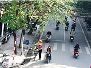 Dự báo thời tiết: Hà Nội trời ấm, Trung Bộ tiếp tục mưa diện rộng