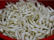 Khám phá gây ngạc nhiên về củ kiệu