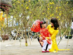 Dự báo thời tiết ngày 31/1: Bắc Bộ và Nam Bộ nắng, Trung Bộ mưa vài nơi