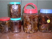 Rượu tắc kè chữa bệnh phòng the