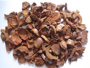 5 thứ bỏ đi nhưng có công dụng chữa bệnh không ngờ