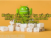 Hướng dẫn kiểm tra, cập nhật phiên bản Android mới