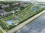 Sân bay cho chim đầu tiên trên thế giới tại Trung Quốc