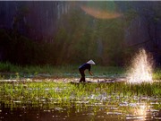 Khung cảnh thơ mộng của “vịnh không sóng” ở Việt Nam
