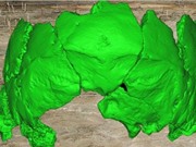 Phát hiện hộp sọ 125.000 năm ở Trung Quốc có thể thuộc loài người mới