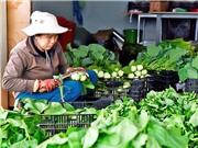 Gia Lai: Nông nghiệp công nghệ cao, hình thành mô hình sản xuất sản phẩm sạch