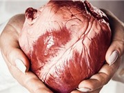 Một trong những bí ẩn của nhịp tim đã được giải mã