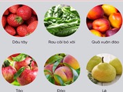 12 loại rau củ quả nhiều thuốc trừ sâu nhất năm 2017