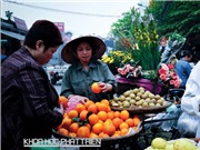 Nghiên cứu về giới tiết lộ gì về nữ quyền ở Việt Nam?