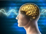 Dùng điện để... tăng trí nhớ