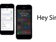 Hướng dẫn cách sửa lỗi Siri không hoạt động trên iOS